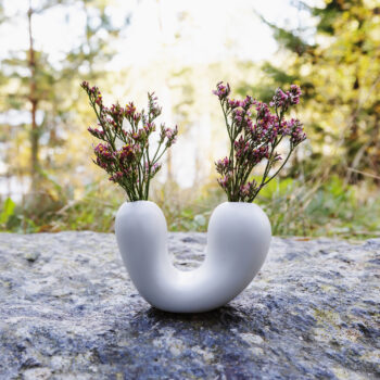 Sirivas i höstljus.