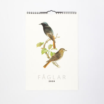Fåglar 2026, väggkalender med illustrationer av bröderna von Wright.
