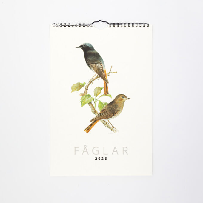 Fåglar 2026, väggkalender med illustrationer av bröderna von Wright.