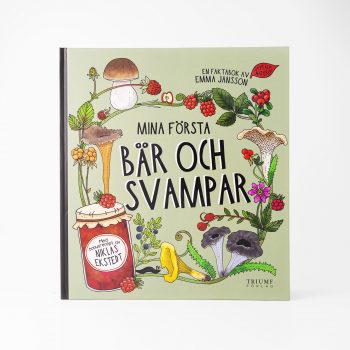 Illustration av svampar, bär och syltburk