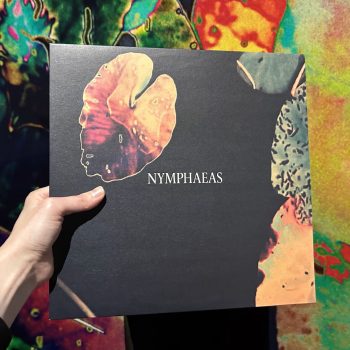 Vinylfodral