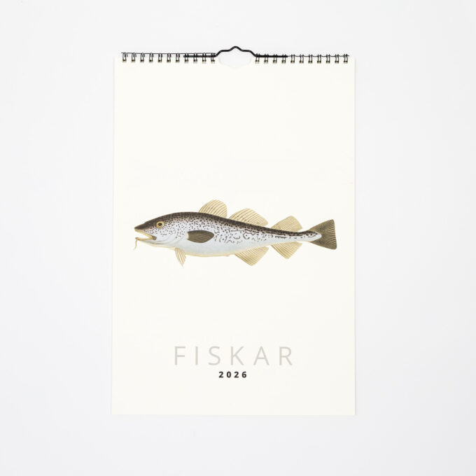 Kalender Fiskar 2026, med illustration föreställande en torsk.