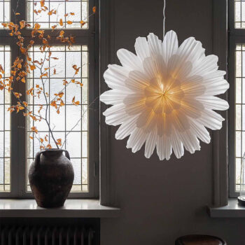 Julstjärna bredvid vas intill ett fönster.